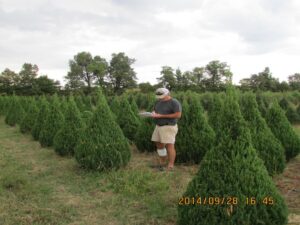 juniper tree farm